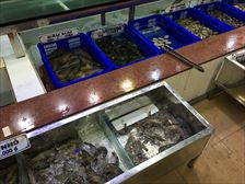 IMG_7271_R