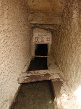 P5036925