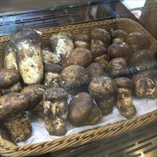 IMG_5029_R