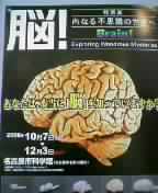 12ffb084.jpg