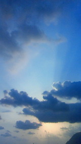 6f99182f.jpg
