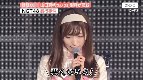 【NGT48】武井壮「二次的な被害の前に一次的被害者である山口真帆さんを守らないんだったら、何が大事なんですかね?」