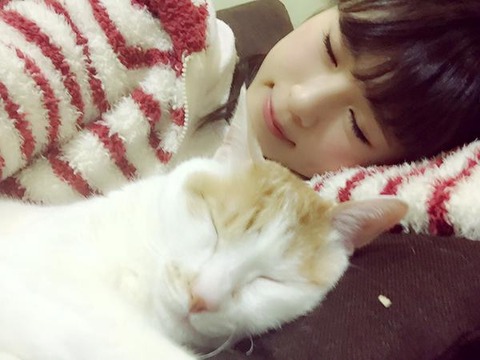 【画像】猫って恐ろしくなるレベルでかわいいな