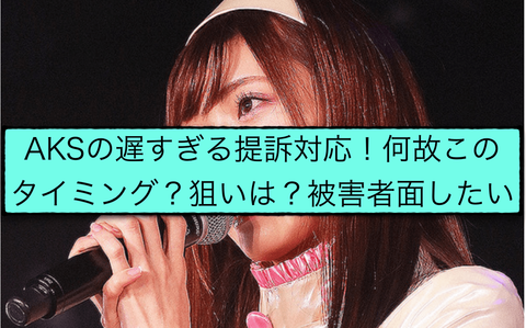 【NGT48暴行事件】AKSが加害者2人を民事提訴する言ってるけど何の為？