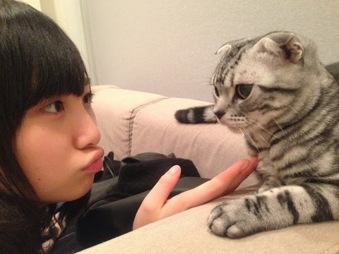 【AKB48G】メンバーのペットで一番可愛いのは?
