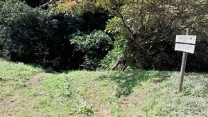P_20150922_103945_HDR