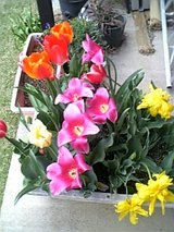 4月