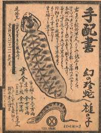 tuchinokosinbun