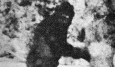 ieteli