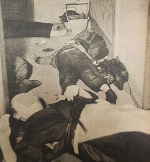 The_scene_of_Teigin_incident