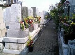hakamairi