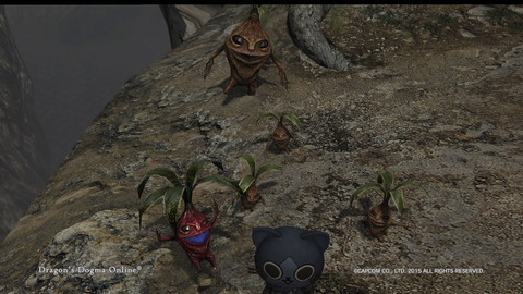 Dragon's Dogma Online__223