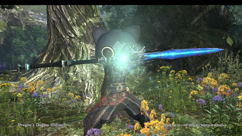 Dragon's Dogma Online__102