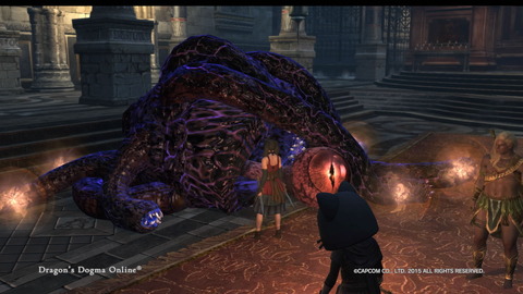 Dragon's Dogma Online__196
