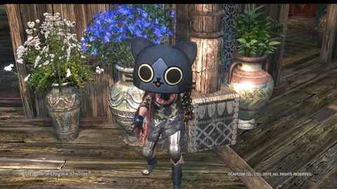 Dragon's Dogma Online__138
