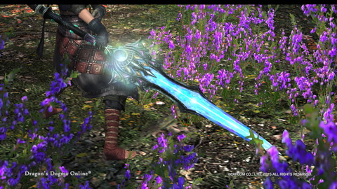 Dragon's Dogma Online__103