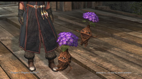 Dragon's Dogma Online__109