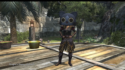Dragon's Dogma Online__142