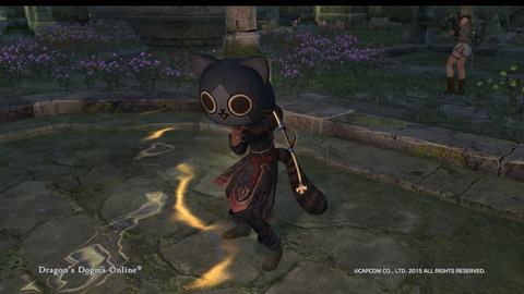 Dragon's Dogma Online__139