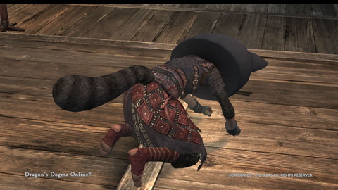 Dragon's Dogma Online__137