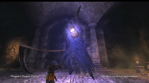 Dragon's Dogma Online__307