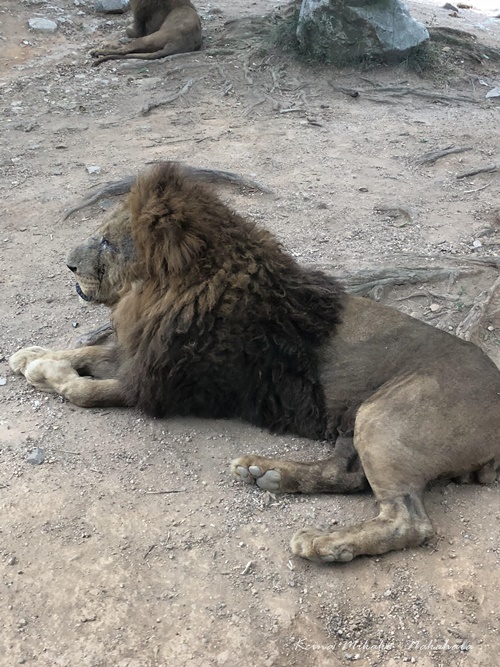 image1_jpeg1