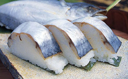 鯖なまなれ