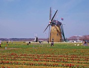IMGP0454