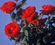 FH000002
