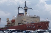 IMGP8036