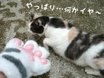 はじめまして03