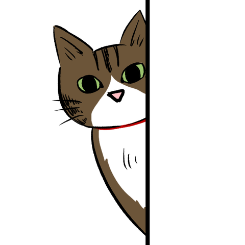 プロフ、猫