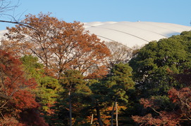 DSC00196
