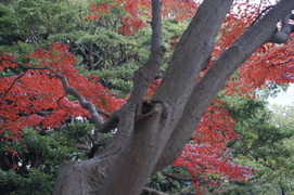 DSC00210