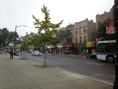ny-sp-24