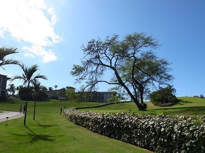 R0012549