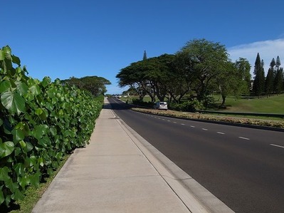 R0013208