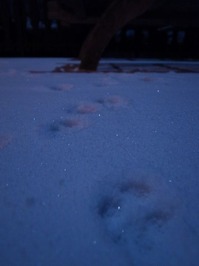 R0012226