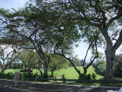 DSCF2087
