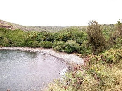 R0013064
