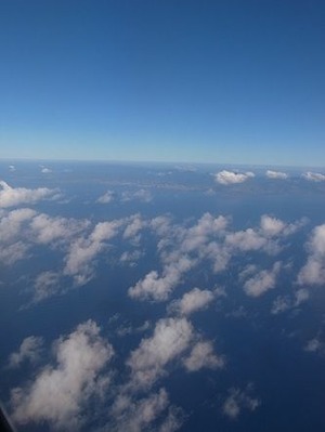 R0013509
