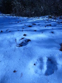R0012327