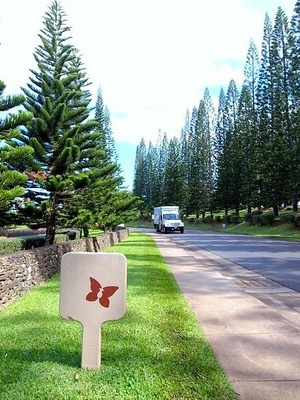 R0012815