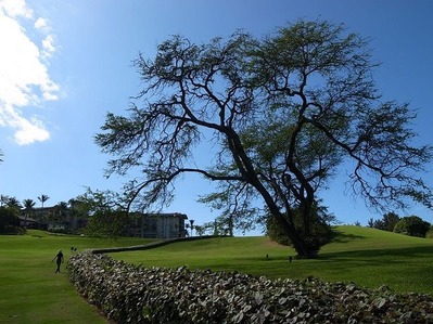 R0012550