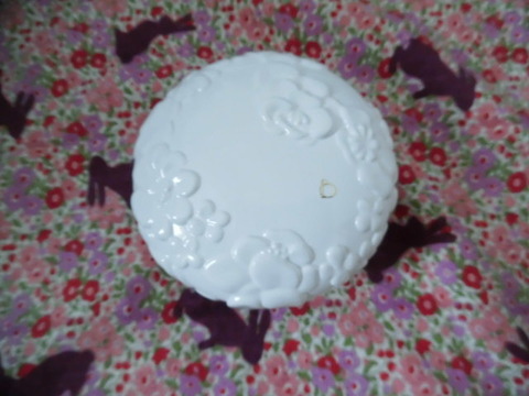 CIMG0293
