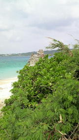 737f7a98.jpg