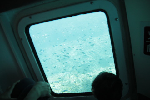 IMG_5498 (1)