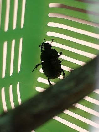 IMG_9420_!