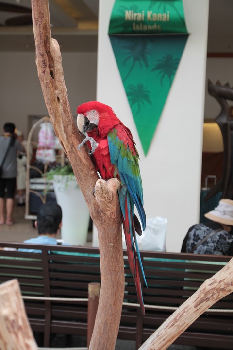 IMG_5457