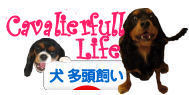 キャバナー14